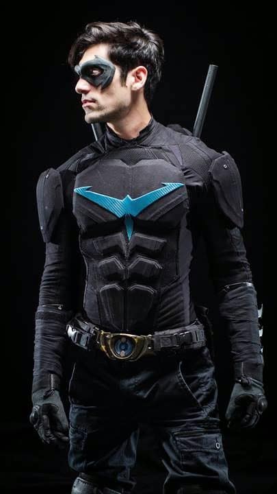 Nightwing-The-Series-Series-Picture-01  