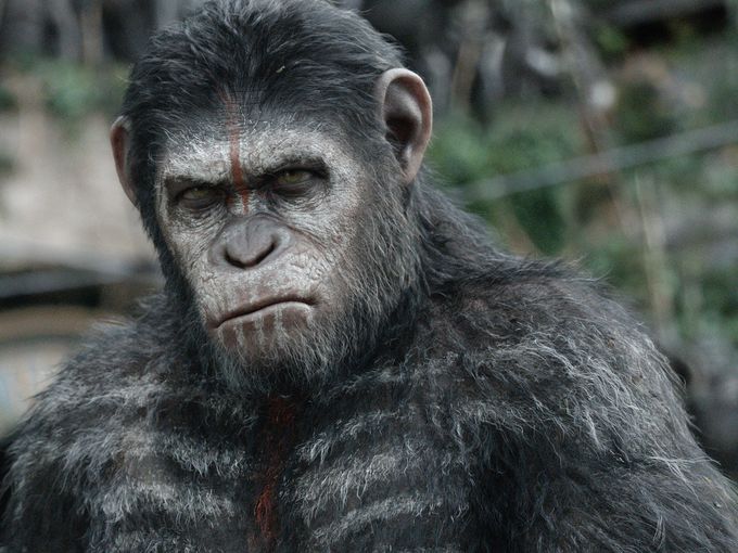 Dawn-of-the-Planet-of-the-Apes-2014-Movie-Picture-03  