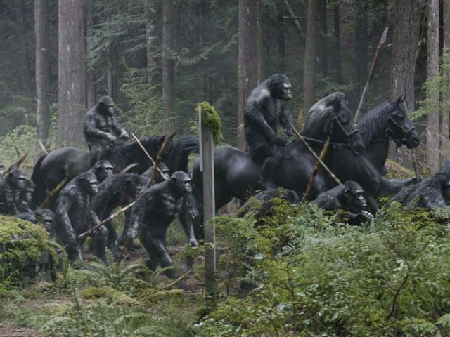 Dawn-of-the-Planet-of-the-Apes-2014-Movie-Picture-06  