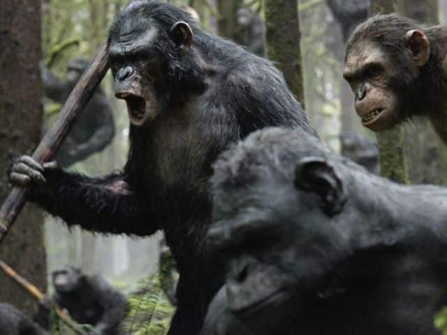 Dawn-of-the-Planet-of-the-Apes-2014-Movie-Picture-07  