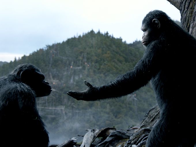 Dawn-of-the-Planet-of-the-Apes-2014-Movie-Picture-09 