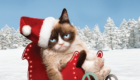 Grumpy-Cats-Worst-Christmas-Ever-2014-Poster-US-01-140x80  