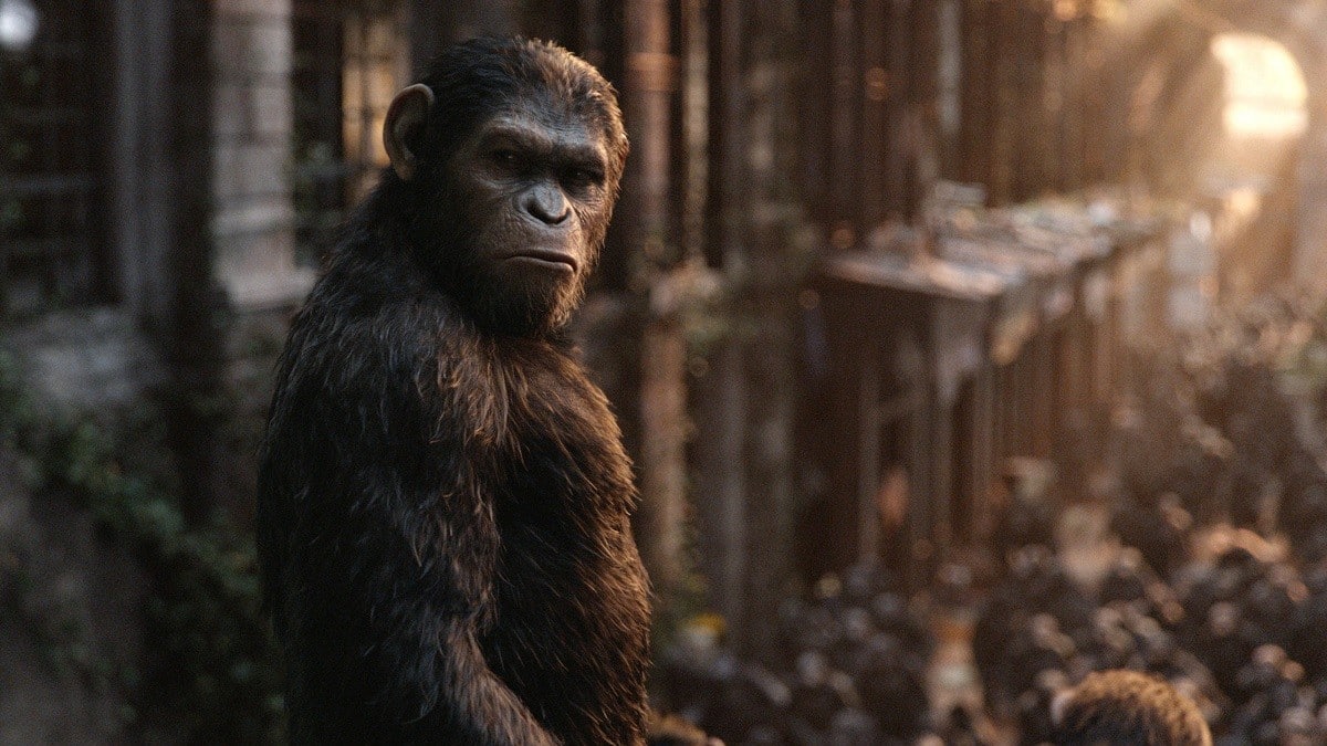 War-for-the-Planet-of-the-Apes-Movie-Picture-01  